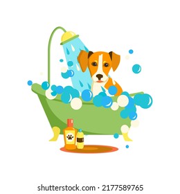 Jack russell terrier in bubble bath. Bathroom washing for domestic animal. Grooming service. Isolated cartoon vector illustration on white background