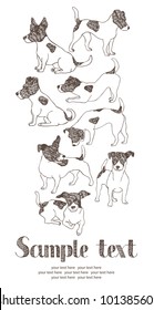 Jack Russell Terrier card