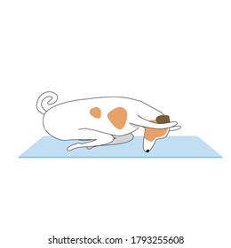 Jack russell terrier character, dog doing yoga or asana lying on the mat. Outline, flat vector stock illustration with dog during prayer, yoga, meditation as a concept of spiritual practices