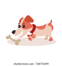 Jack russell terrier character playing with bone, cute funny dog vector Illustration