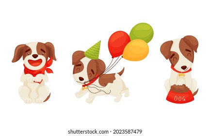 Jack Russell Terrier Character Sitting Near Feed Bowl and Carrying Balloons Vector Set