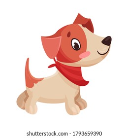 Jack Russell Terrier Character Standing and Wriggling Tail Vector Illustration