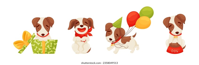 Jack Russell Terrier with Collar in Different Action Vector Set