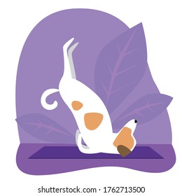 Jack Russell Terrier as a cute cartoon character performs a headstand during yoga. Stock vector flat illustration with dog, leaves and yoga asana Viparita Karani Mudra