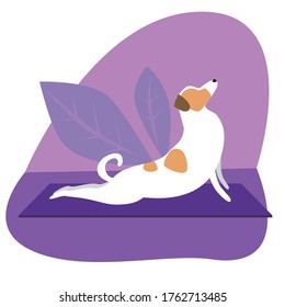 Jack Russell Terrier does yoga on a mat against the background of leaves of a plant at home. Stock vector flat illustration with dog or character as a concept of yoga asana Cobra Pose or Bhujangasana