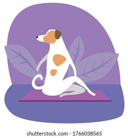 Jack Russell Terrier hace yoga o estiramientos. Ilustración plana vectorial de stock con perro o caricatura tierna en yoga pose ardhamatsyasana y en el fondo con plantas o hojas