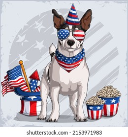 Jack Russell terrier dog in 4th of July disguise wearing Uncle Sam hat, with USA flag and fireworks 