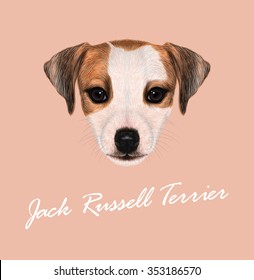 Jack Russell Terrier dog animal cute face. Vector funny Jack Russell Terrier brown and white puppy head portrait. Realistic fur portrait of purebred young doggy isolated on pink background.