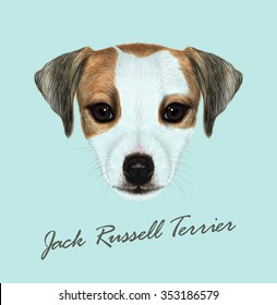 Jack Russell Terrier dog animal cute face. Vector funny Jack Russell Terrier brown and white puppy head portrait. Realistic fur portrait of purebred young doggy isolated on blue background.