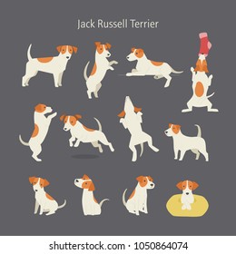 Jack Russell Terrier Hund züchtet Posenset. Vektorgrafik-Flachdesign