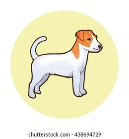 Jack Russell Terrier dog breed. Outline with watercolor background. Vector illustration.