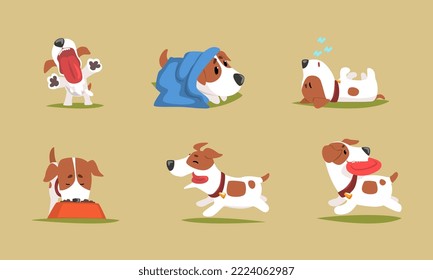 Jack Russell Terrier Dog with Cute Snout Wearing Collar Engaged in Different Activity Vector Set