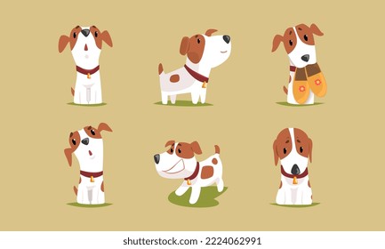 Jack Russell Terrier Dog with Cute Snout Wearing Collar Engaged in Different Activity Vector Set