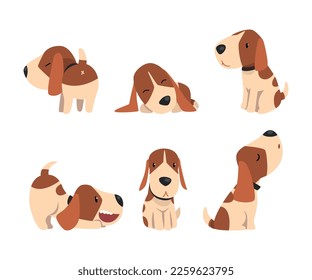 Jack Russell Terrier Dog with Cute Snout and Coat with Brown Spot in Different Pose Vector Set