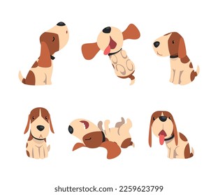 Jack Russell Terrier Dog with Cute Snout and Coat with Brown Spot in Different Pose Vector Set