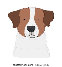 Jack Russell Terrier dog illustration on white background. Vector hand drawn art of cute sleeping dog portrait. Animal sketch by free hand.