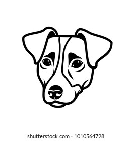 Drawing Jack Russell Terrier Cartoon