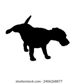 Jack Russell Terrier dog peeing silhouette Breeds Bundle Dogs on the move. Dogs in different poses. jumps, the dog runs. The dog is sitting lying down. The dog is playing
