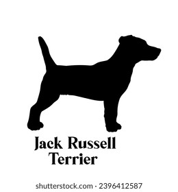 Jack Russell Terrier Dog silhouette dog breeds logo monogram face vector