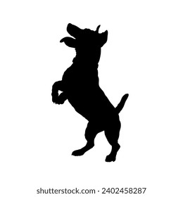 Jack Russell Terrier Dog silhouette High quality  Breeds Bundle Dogs on the move. Dogs in different poses.
 jumps,  runs. dog is sitting. The dog is lying down. The dog is playing