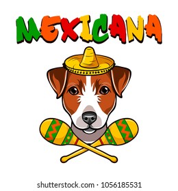 Jack Russell Terrier dog. Sombrero maracas. Mexico. Dog breed. Vector illustration. Mexicana inscription