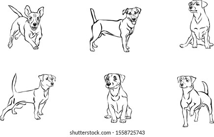 Jack Russell Terrier, dog, vector, black, line, figure