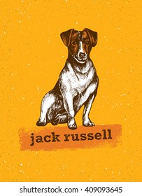 Jack Russell Terrier Dog Vector Hand Drawn Illustration On Natural Background