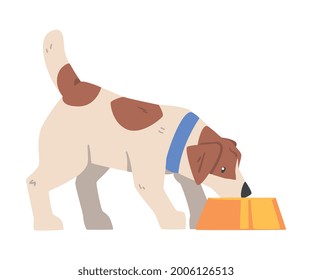 Jack Russell Terrier Eating Food from Bowl, Cute Pet Animal with Brown and White Coat Cartoon Vector Illustration