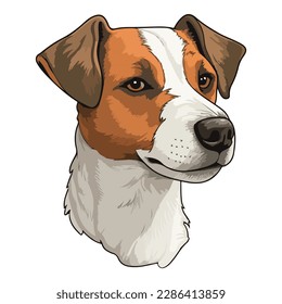 Jack Russell Terrier Flat Icon Isolated On White Background