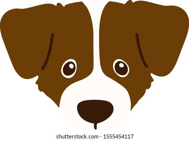 Jack Russell Terrier front head flat color