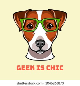 Jack Russell Terrier geek. Dog in smart glasses. Geek is chic text. Vector illustration.