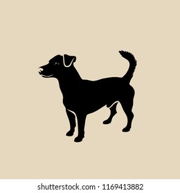 Jack Russell Terrier - isolated vector illustration