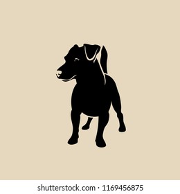 Jack Russell Terrier - isolated vector illustration