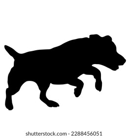 Jack Russell Terrier jump Dog silhouette. Dog breed. Animal. Pet