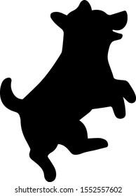 Jack Russell Terrier jumping side silhouette