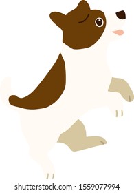 Jack Russell Terrier jumping side flat color