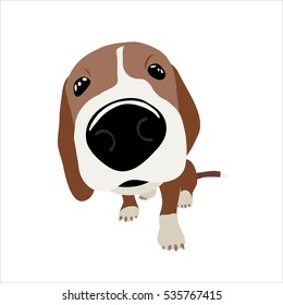 Jack Russell Terrier with a large head and nose. Vector Illustration of a dog.