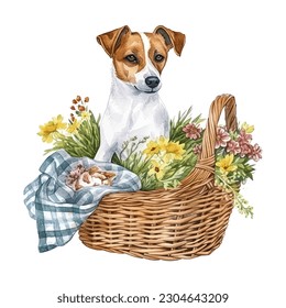 Jack Russell Terrier in Picnic Basket mit Blumen Aquarell Vektorgrafik