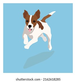 Jack russell terrier picture. Funny pet dog flat vector illustration. Fox hunter small terrier, in full growth view