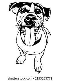 Jack Russell Terrier is a playful dog. Vector file for printing and sublimation and vinyl cutting. Love friendship dog clipart. Hand drawn funny animals. dog smile svg