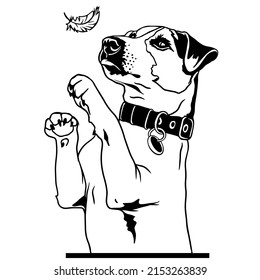 Jack Russell Terrier is a playful dog. Vector file for printing and sublimation and vinyl cutting. Love friendship dog clipart. Hand drawn funny animals. dog smile