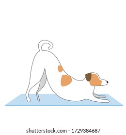 Jack Russell Terrier practices yoga isolated on white background for design. Flat and outline vector stock illustration with character dog as a concept of spirituality and yoga