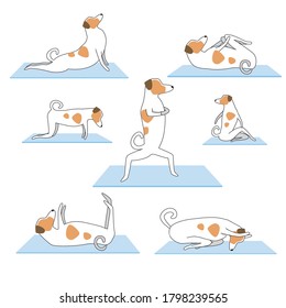 Jack russell terrier practices yoga or asana as a collection or set isolated on white background. Flat or linear vector stock illustration with dog or character as a concept of active lifestyle, sport