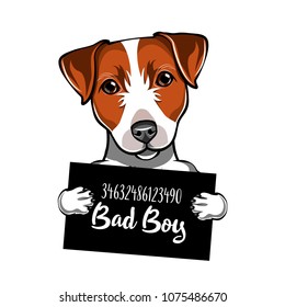 Jack Russell Terrier Prisoner, convict. Dog criminal. Police placard, Police mugshot, lineup. Arrest photo. Mugshot photo. Dog Bad boy. Vector illustration