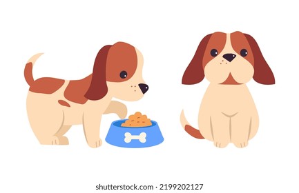 Jack Russell Terrier Puppy with Brown Spots Sitting and Feeding in Bowl Vector Set