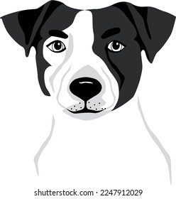Jack Russell Terrier purebred puppy dog vector illustration tattoo