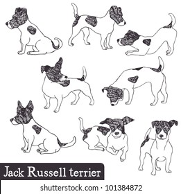 Jack Russell Terrier set