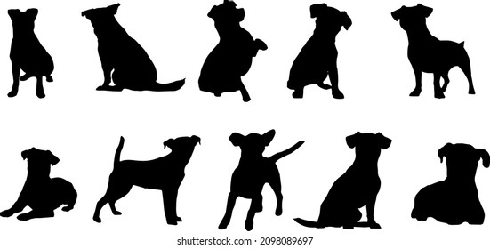 Jack Russell Terrier Silhouette Dog Bundle SVG