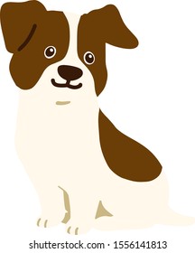 Jack Russell Terrier sitting flat color