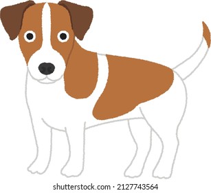 The Jack Russell Terrier is a small terrier that has its origins in fox hunting in England. Dog is first and foremost a working terrier.